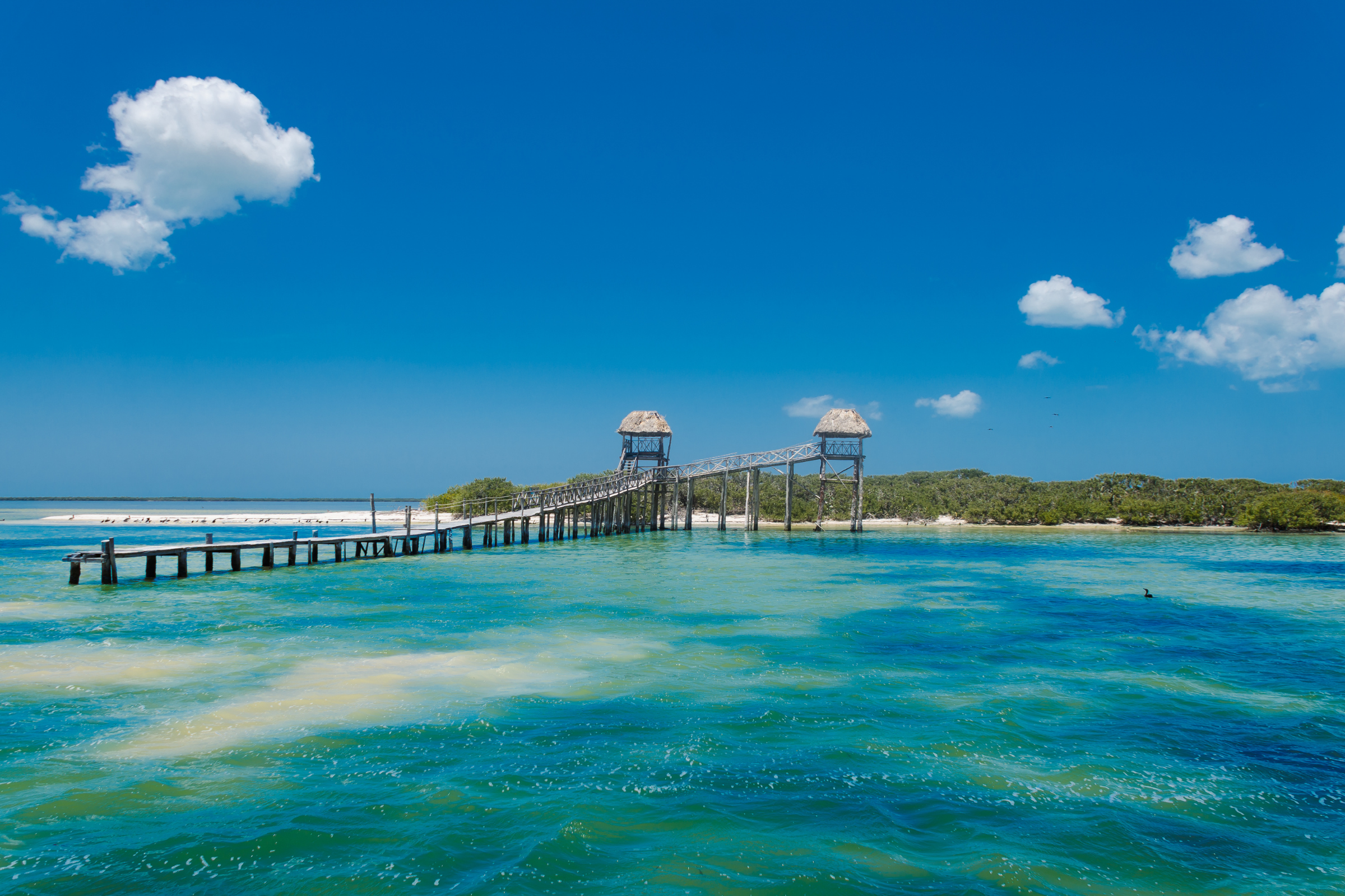 isla de los estados.webp